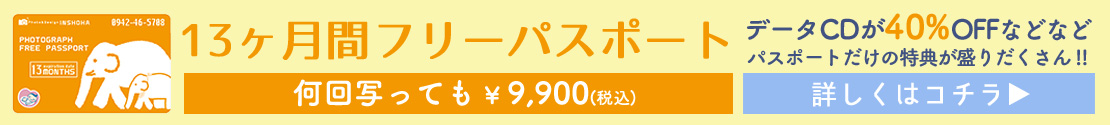 年間フリーパスポート